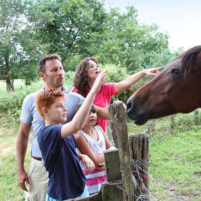  Farm Stay 