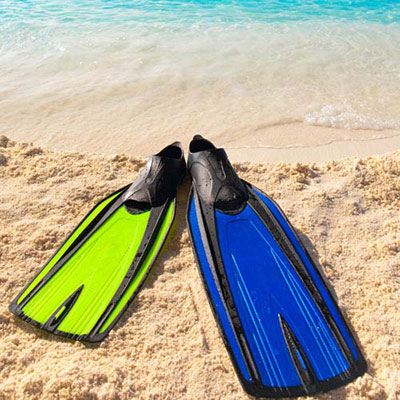 Flippers