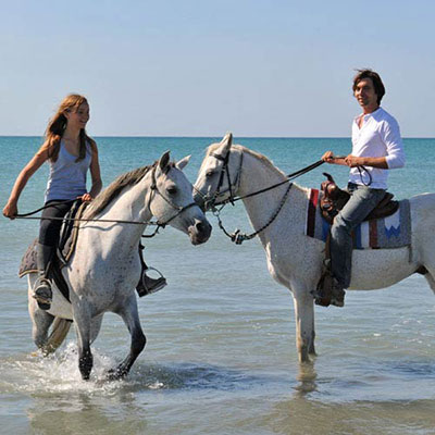 Horse Riding