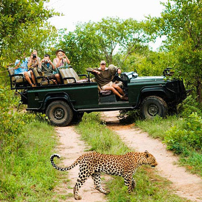 Jeep Safari