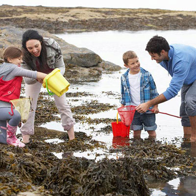 Rock Pools