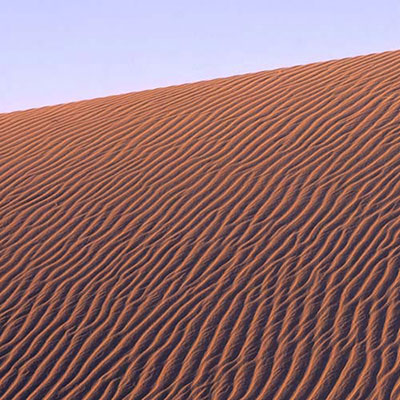 Dune 