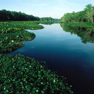 Florida