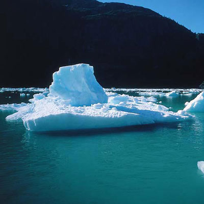 Iceberg