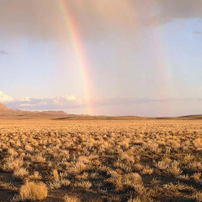  Rainbow 