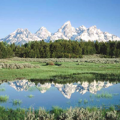 Rockies