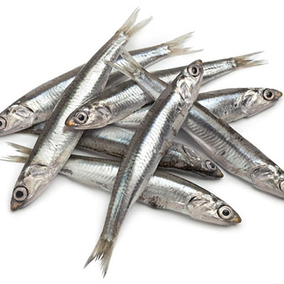 Anchovies