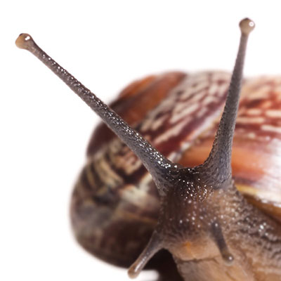 Antenna