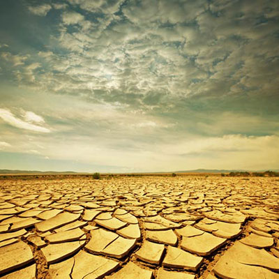 Arid