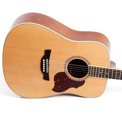 Acoustic Guitar