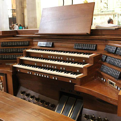 Organ