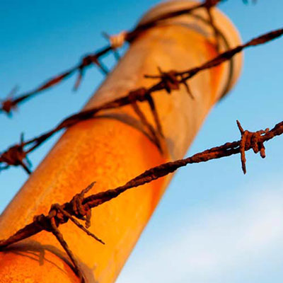 Barbed