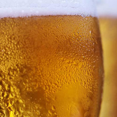 Beer 