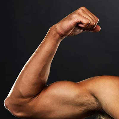 Bicep