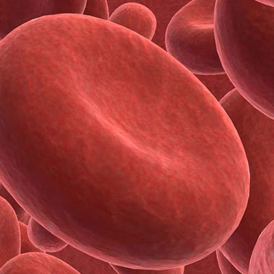 Blood
