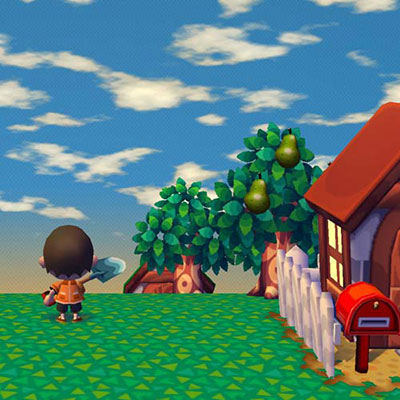 Animal Crossing