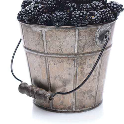 Bucket
