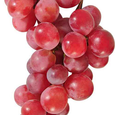 Grapes