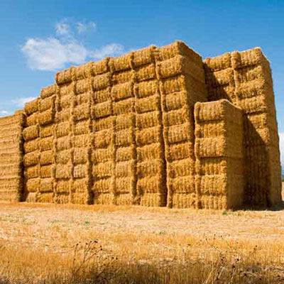Hay Stack