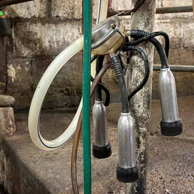 Milking Machine 