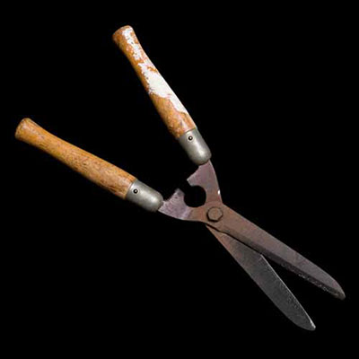  Shears 