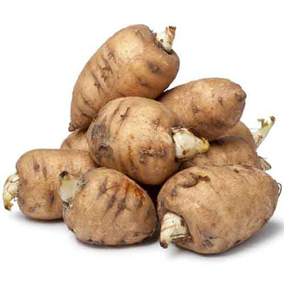 Turnip