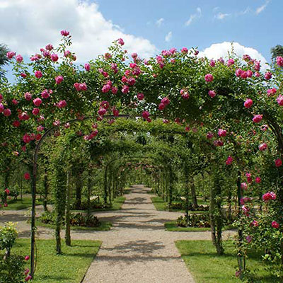 Pergola