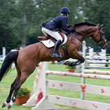Equestrian