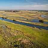 Estuary