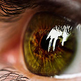 Eye