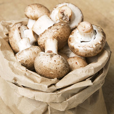  Mushrooms 