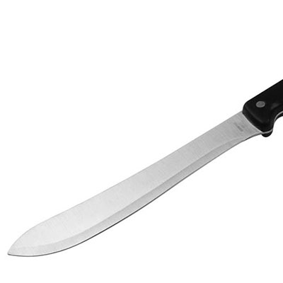 Carving Knife
