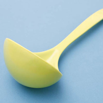 Ladle