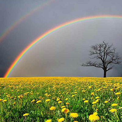 Double Rainbow
