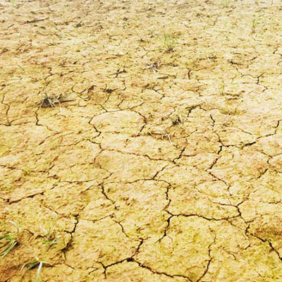  Drought 