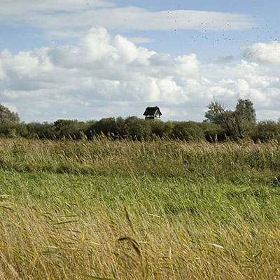 Fen