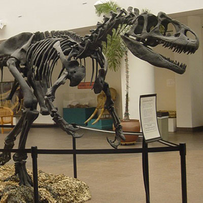 Fossil