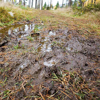 Mud