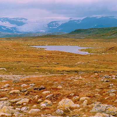 Plateau