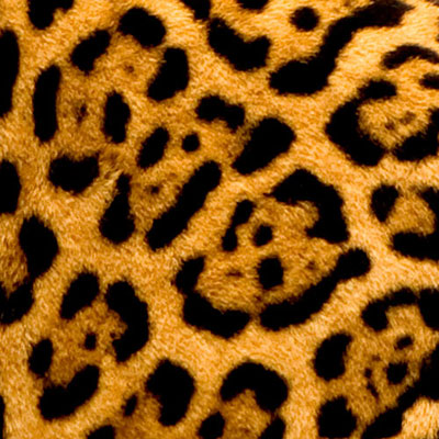Spots