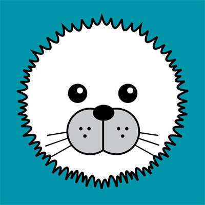 Arctic Seal