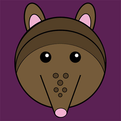 Armadillo
