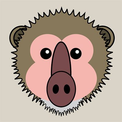 Baboon