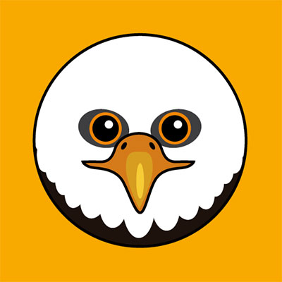 Bald Eagle 