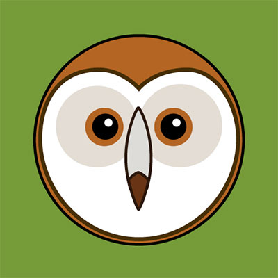 Barn Owl