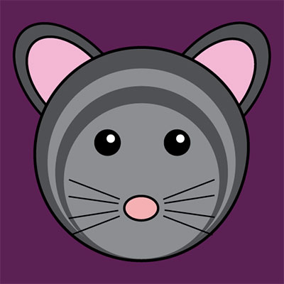 Chinchilla