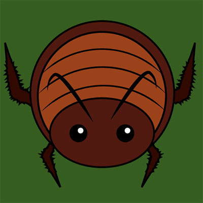 Cockroach
