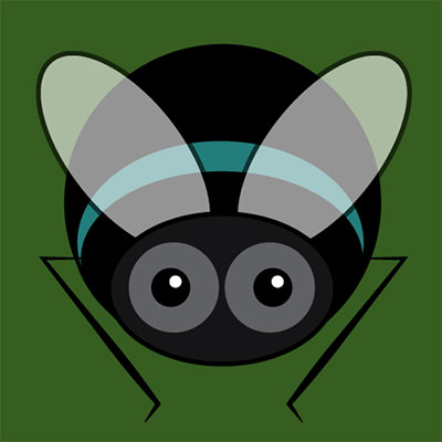 Fly