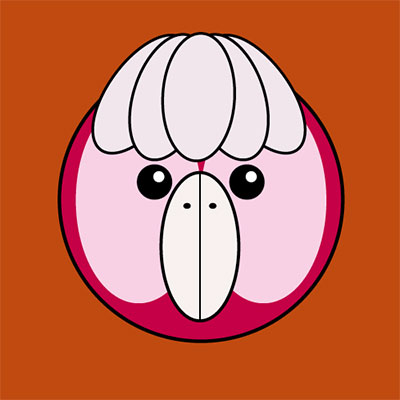  Galah 