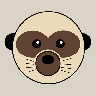 Meerkat